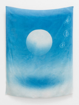 Hover, 2015. Cyanotype on silk, 52x68cm, 5+1AP.