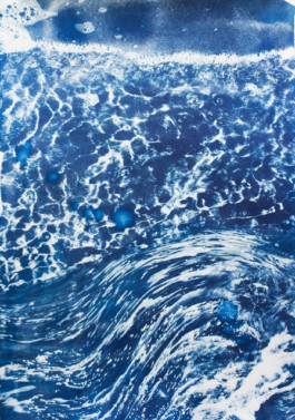 Caulfield Park (detail), 2017. Twenty cyanotypes on paper, 700x210cm.