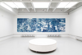 Caulfield Park, 2017. Twenty cyanotypes on paper, 700x210cm