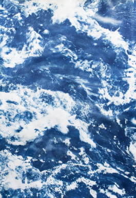 Caulfield Park (detail), 2017. Twenty cyanotypes on paper, 700x210cm.