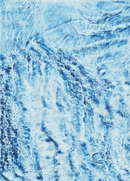 Shallow (Wreck Beach), 2017. Photopolymer on paper, 21x30, 5+1AP.