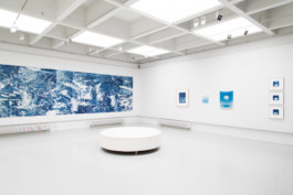 Hover, float, Installation view. Photographic Centre Peri, 2017.