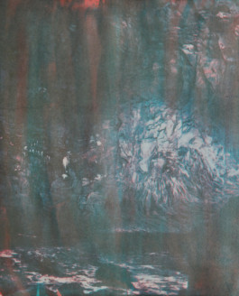 Cathedral, 2018. Gum bichromate on paper (50x60cm).