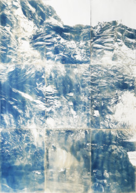 Valasnös, 2018. Nine cyanotypes on paper (210x300cm).
