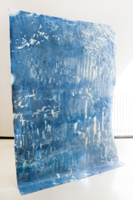 Meeting, 2018. Cyanotype on cotton duck (180x300cm).