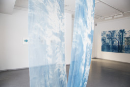 Anna Niskanen: Tower Over