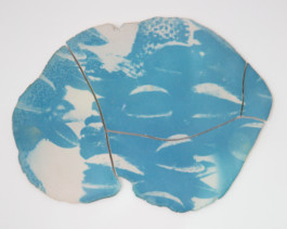 Anna Niskanen: Banksia