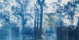 Anna Niskanen: Blue Forest