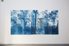 Anna Niskanen: Blue Forest