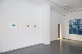 Anna Niskanen: Tower Over